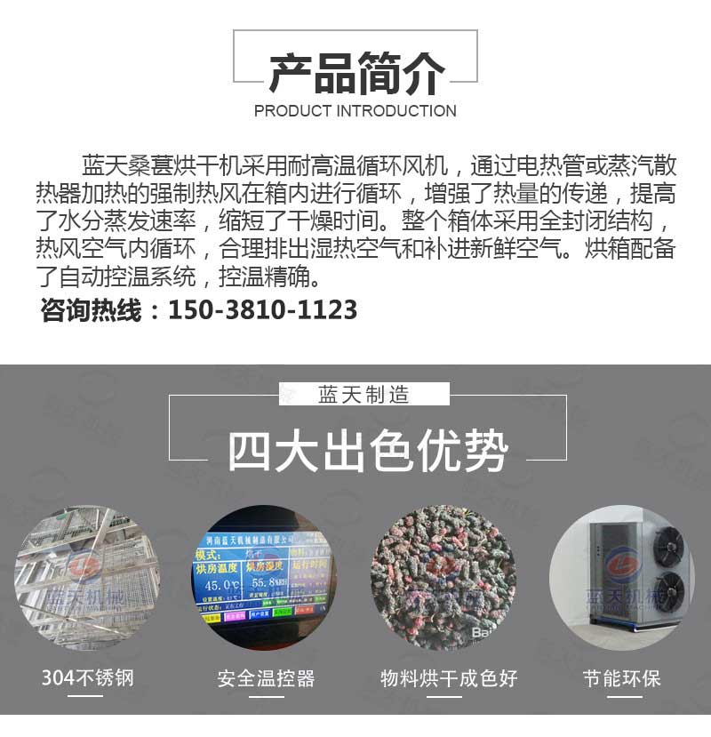 桑葚烘干機產品簡介