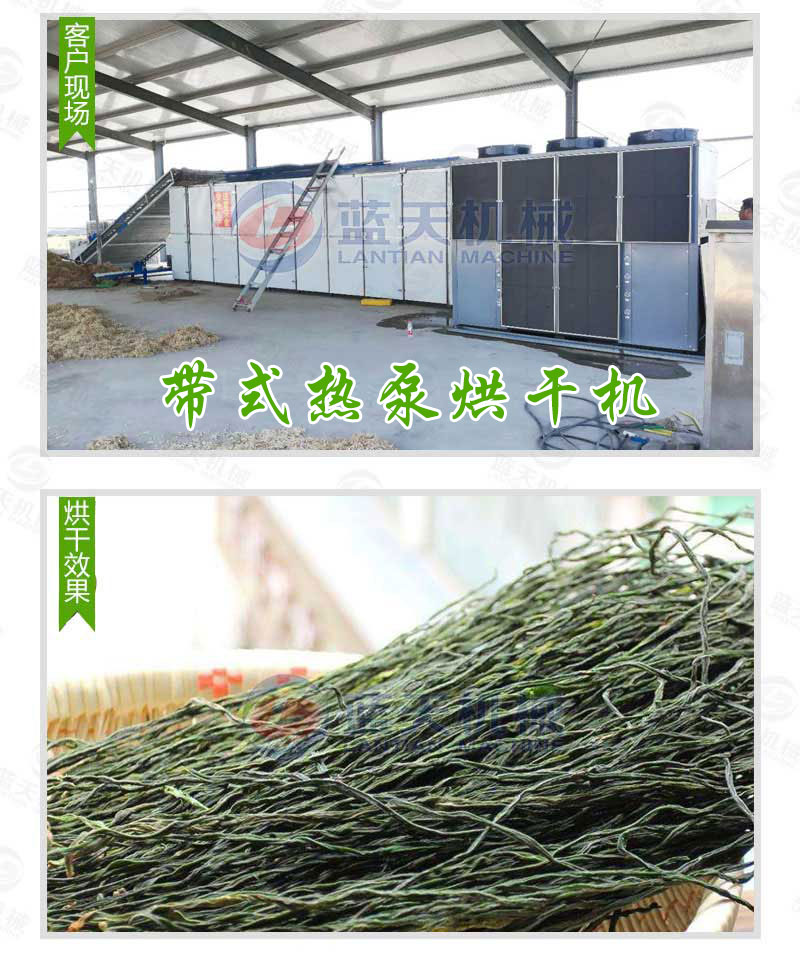 帶式天麻烘干機