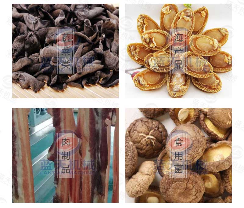 天麻烘干機應(yīng)用范圍