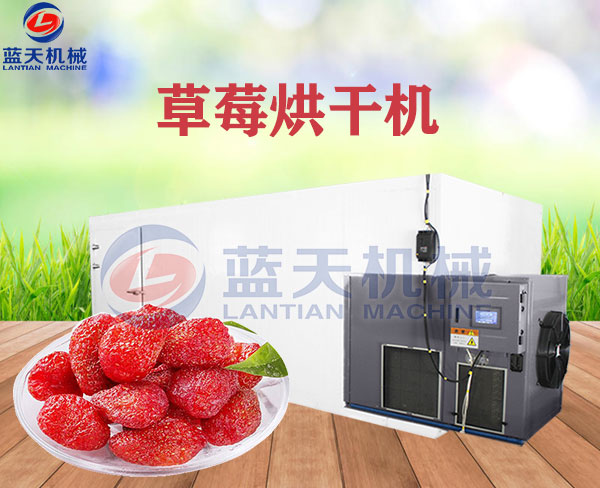 草莓烘干機