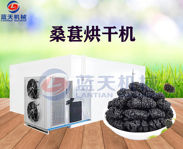 桑葚烘干機